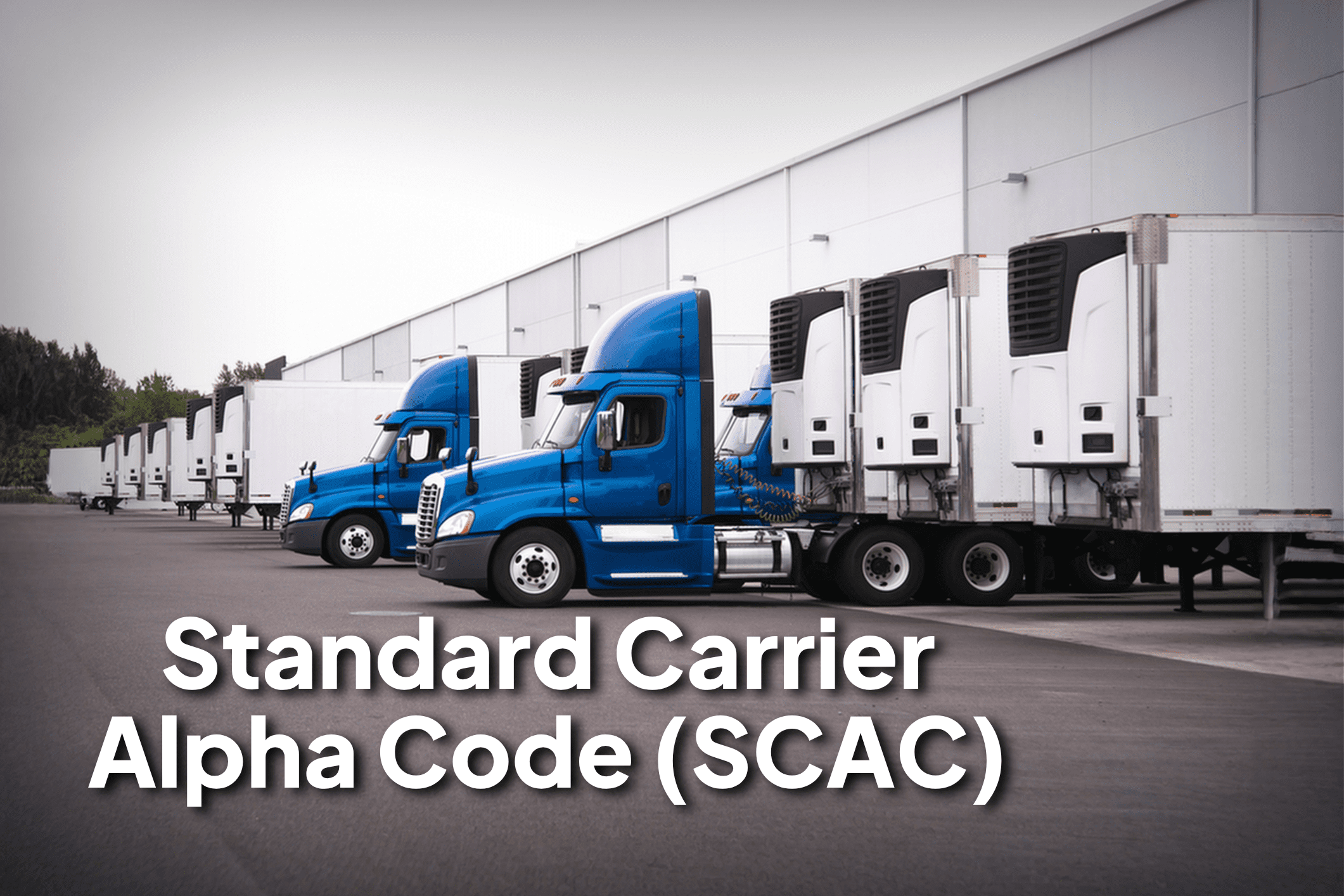 SCAC Standard Carrier Alpha Code (SCAC) DOT Compliance Group
