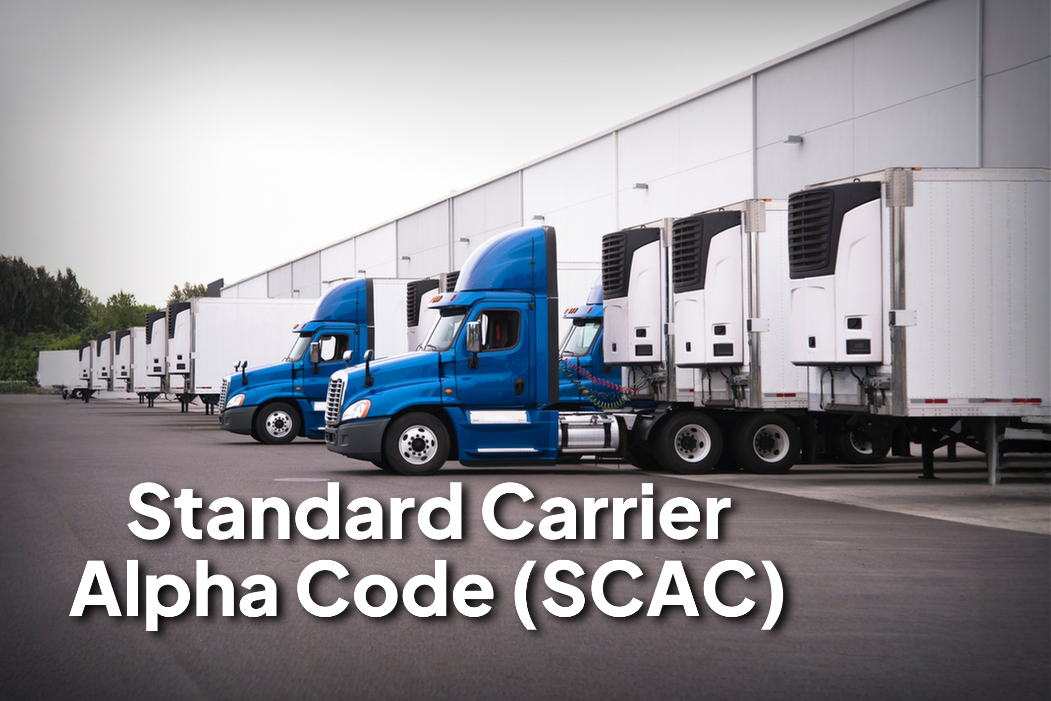 Standard Carrier Alpha Code (SCAC) DOT Compliance Group
